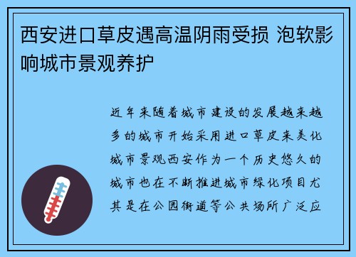 西安进口草皮遇高温阴雨受损 泡软影响城市景观养护 西安进口草皮遇高温阴雨受损 泡软影响城市景观养护